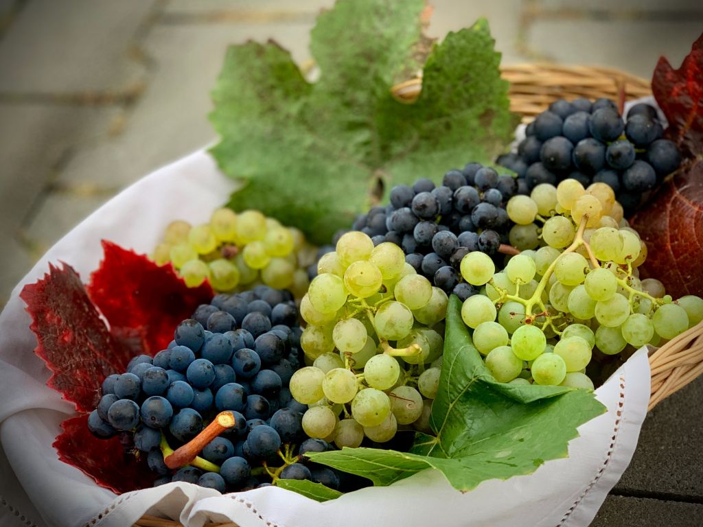 witte en blauwe druiven in rieten mand