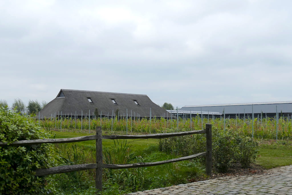 een wijndomein met ranken en gebouw achter houten afsluiting